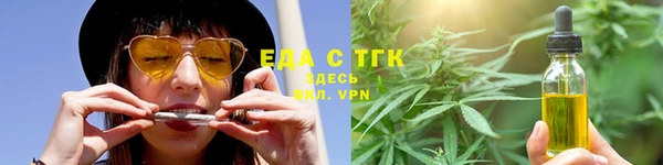 тгк Дмитров