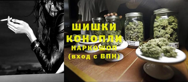 сатива Верхний Тагил