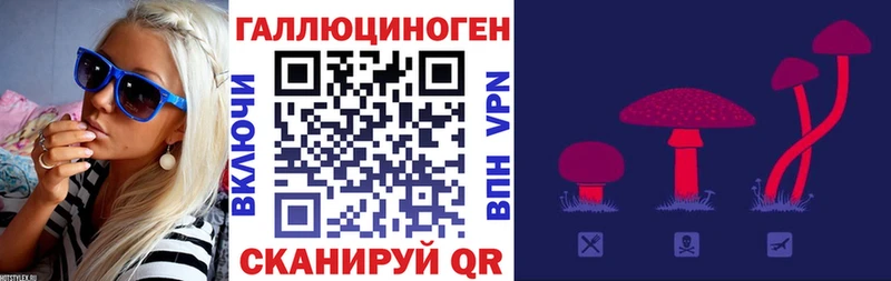 MEGA рабочий сайт  Добрянка  Псилоцибиновые грибы Cubensis 